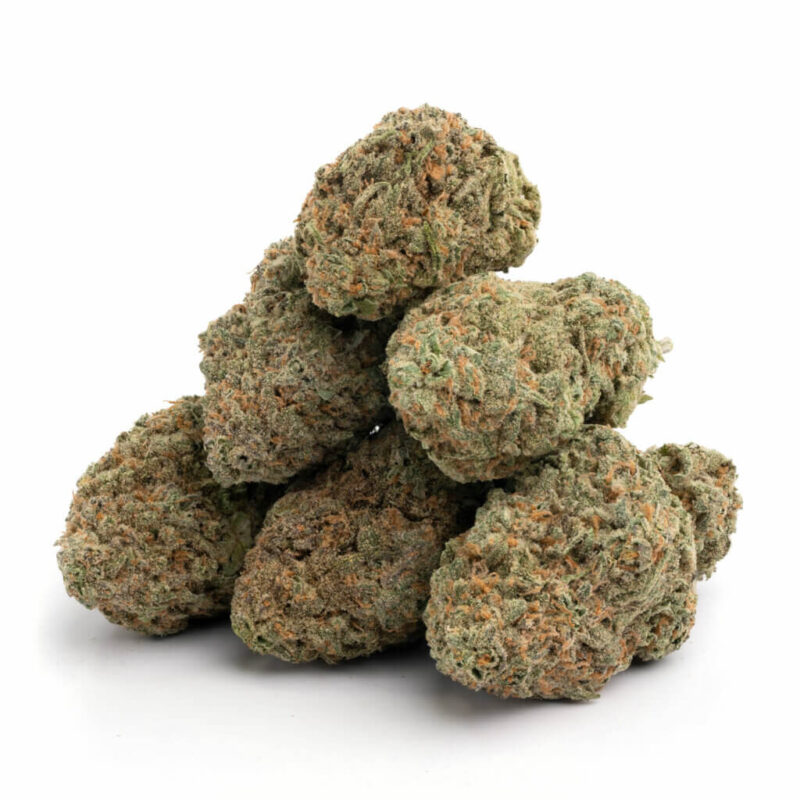 BLUE DREAM – Bild 2