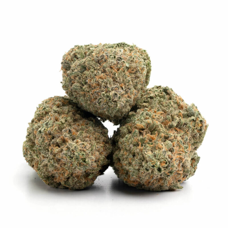 BLUE DREAM – Bild 3