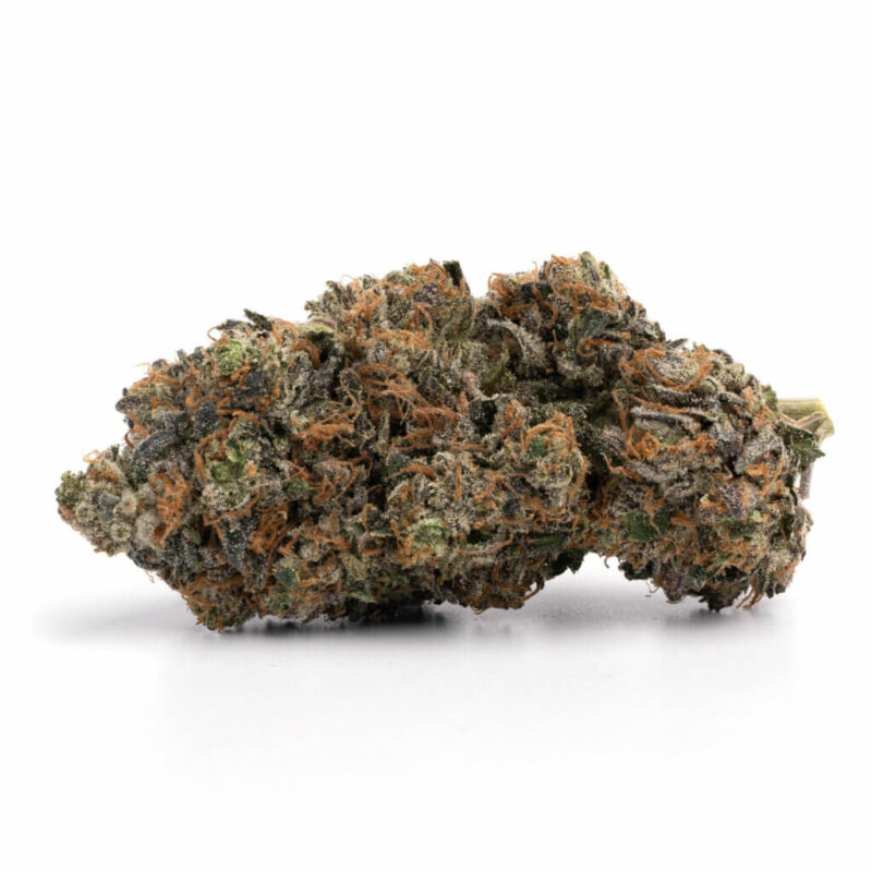 BRUCE BANNER