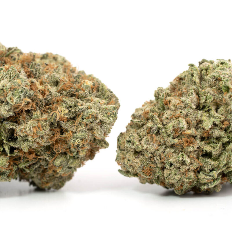 G13 Haze – Bild 2