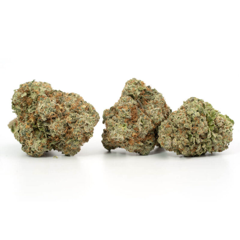 G13 Haze – Bild 3