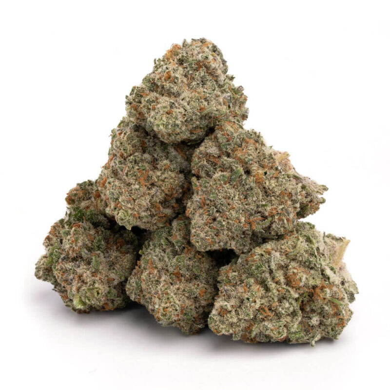 Jack Herer – Bild 3
