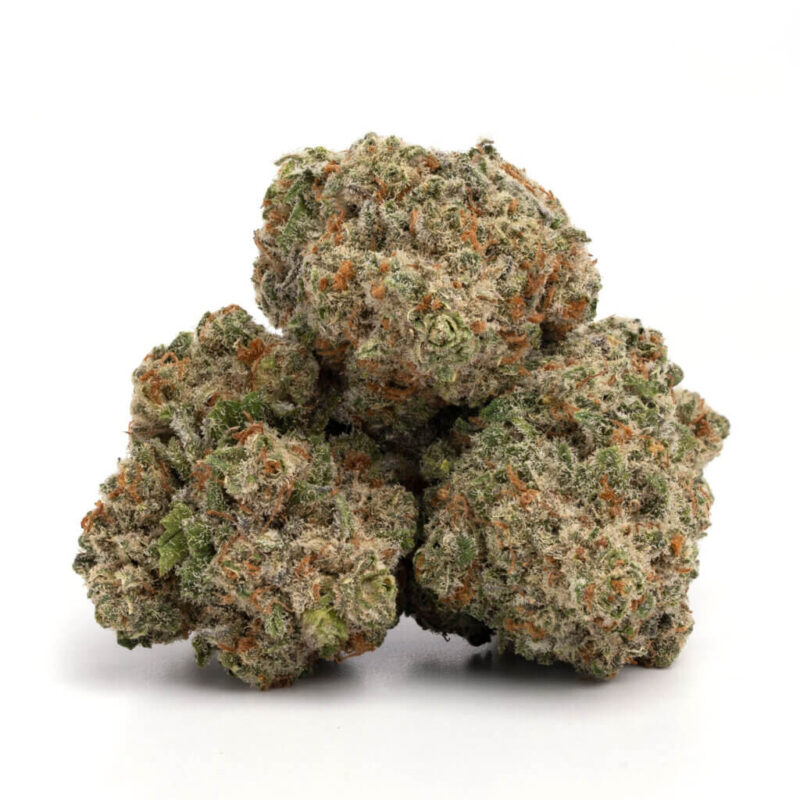 Jack Herer – Bild 2