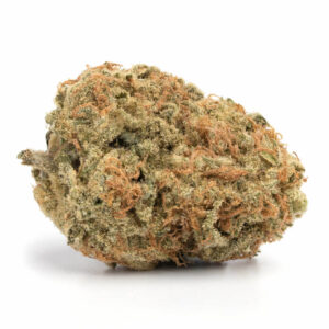 Orange Bud