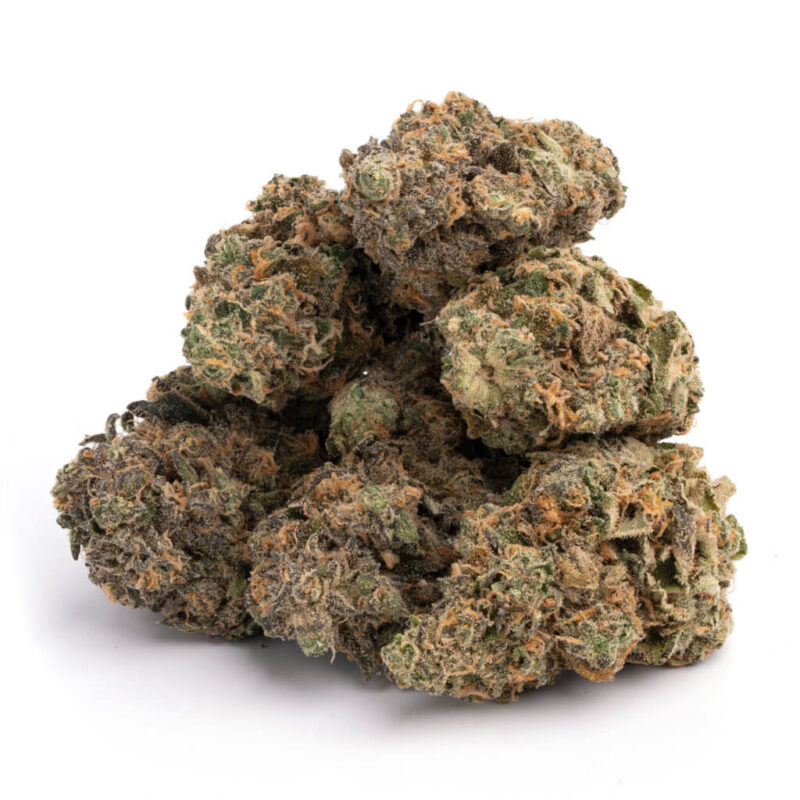 Purple Haze – Bild 3