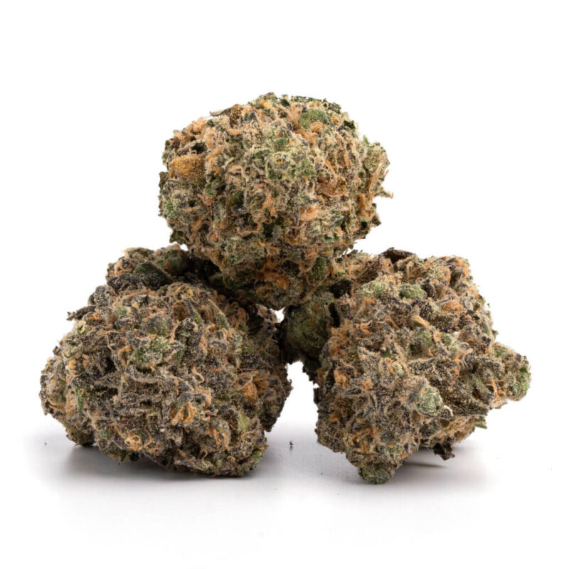 Purple Haze – Bild 2