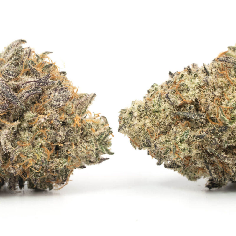 Girl Scout Cookies (GSC) – Bild 3